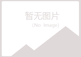 安阳北关凌雪咨询有限公司